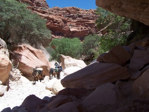 havasupai